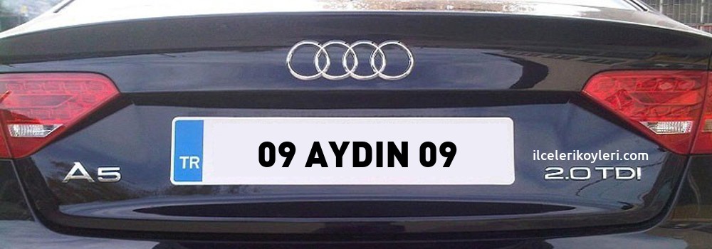 Aydın Plaka Kodu