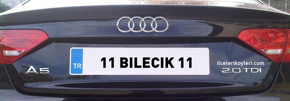 Bilecik Plaka Kodu
